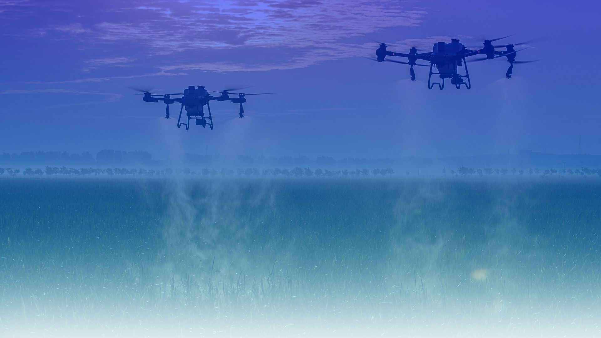 Dos drones agrícolas pulverizando un campo de cultivo al amanecer