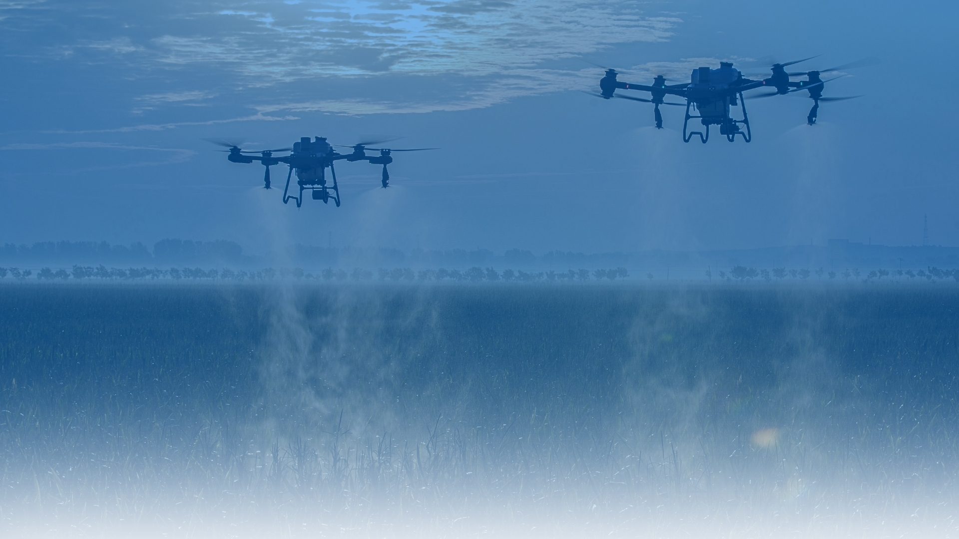 Dos drones agrícolas sobrevolando un campo de cultivo